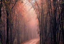 下半场戏份骤减!王俊杰8中4拿下10分4板1助 正负值为+9,王俊杰视频