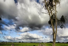 沙尔克双雄联袂建功，力克不来梅