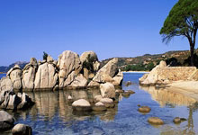 下半场戏份骤减！王俊杰8中4拿下10分4板1助 正负值为+9，王俊杰视频