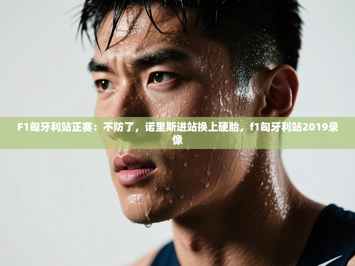 F1匈牙利站正赛：不防了，诺里斯进站换上硬胎，f1匈牙利站2019录像