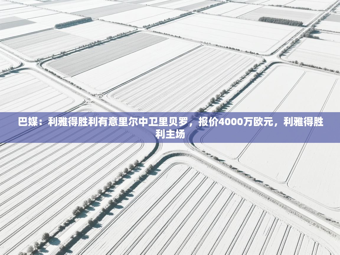 巴媒:利雅得胜利有意里尔中卫里贝罗,报价4000万欧元,利雅得胜利主场 第1张