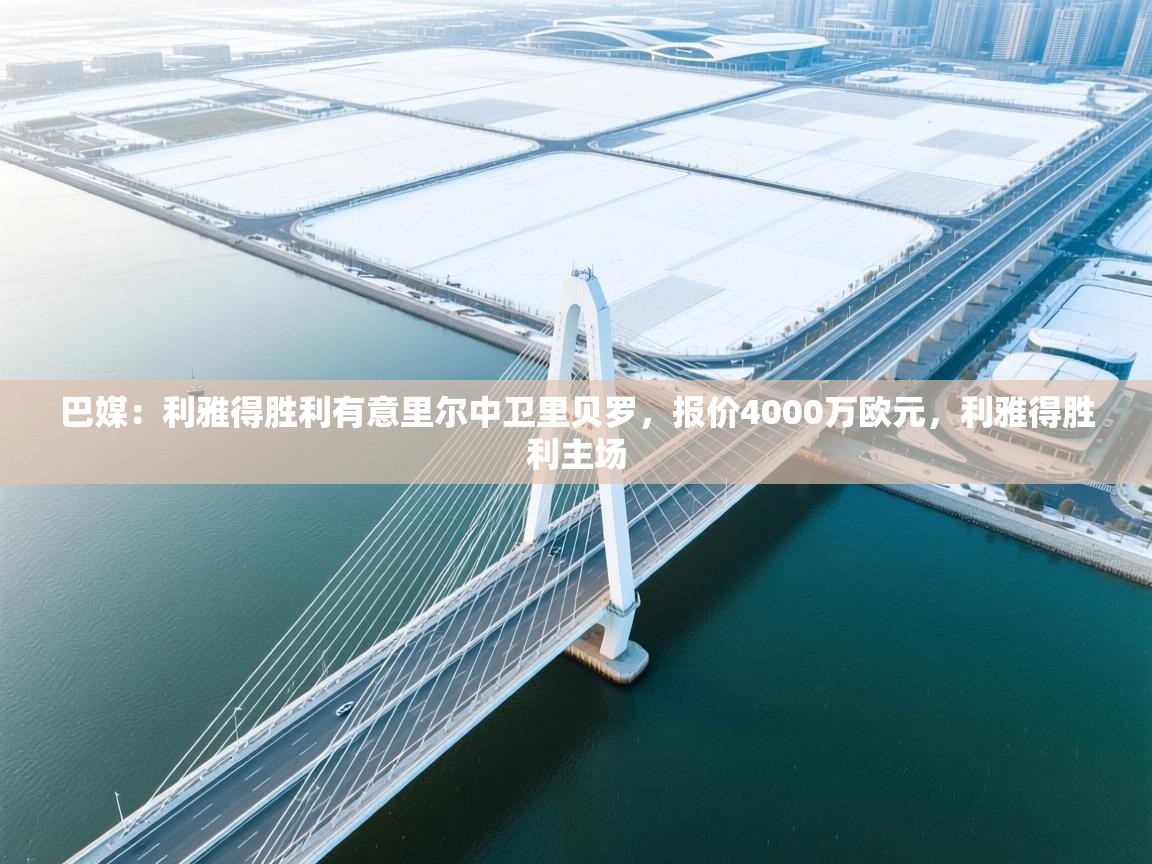 巴媒:利雅得胜利有意里尔中卫里贝罗,报价4000万欧元,利雅得胜利主场 第2张