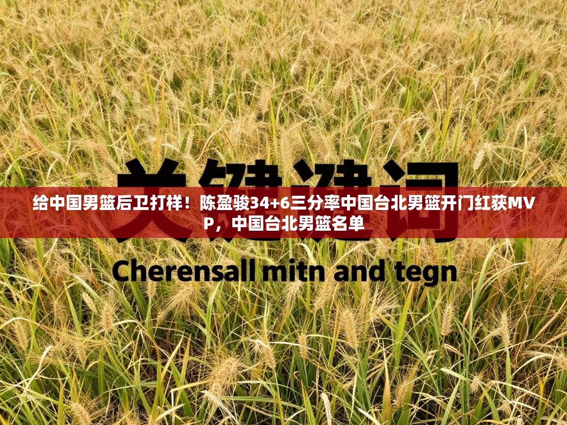 给中国男篮后卫打样!陈盈骏34+6三分率中国台北男篮开门红获MVP,中国台北男篮名单 第2张