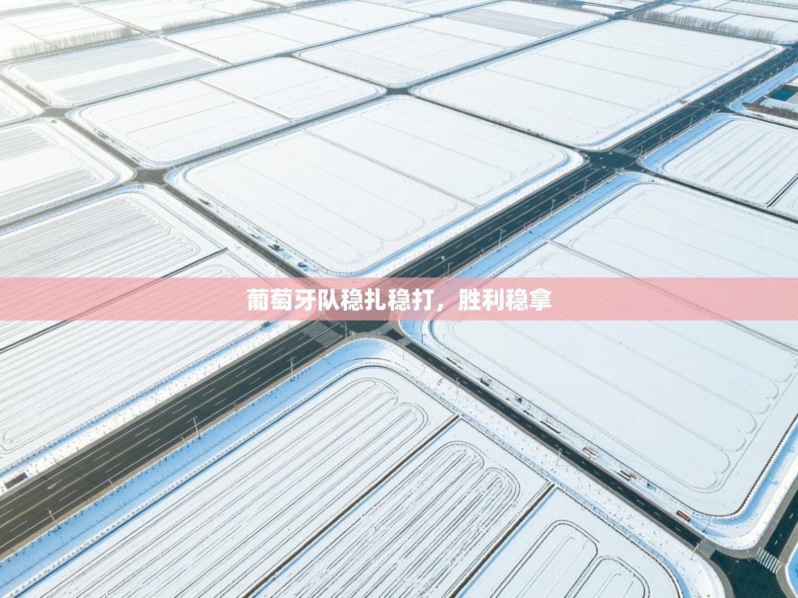 葡萄牙队稳扎稳打,胜利稳拿 第1张