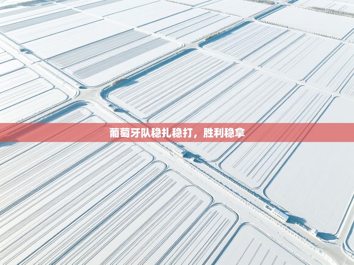 葡萄牙队稳扎稳打,胜利稳拿 第2张