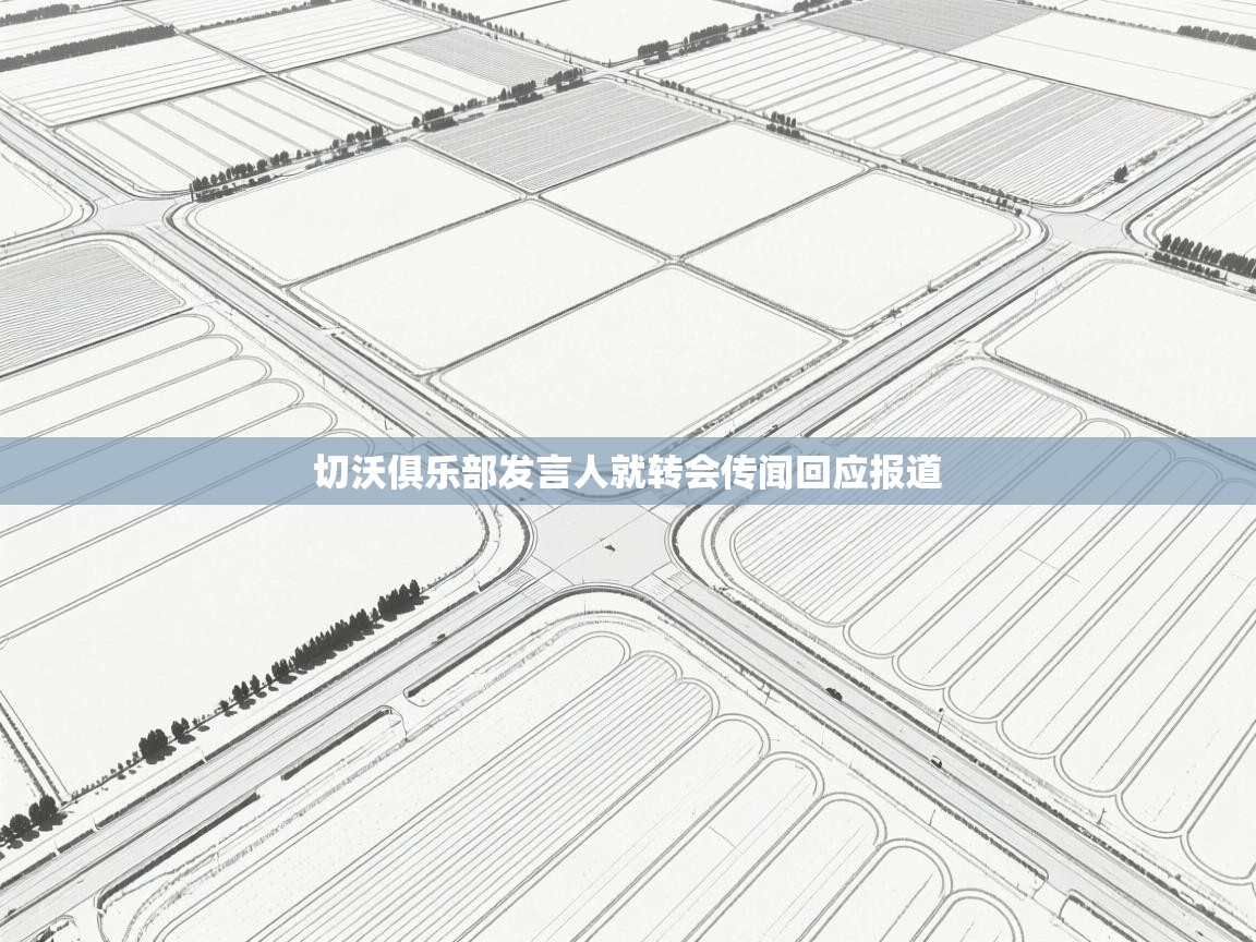 切沃俱乐部发言人就转会传闻回应报道  第1张