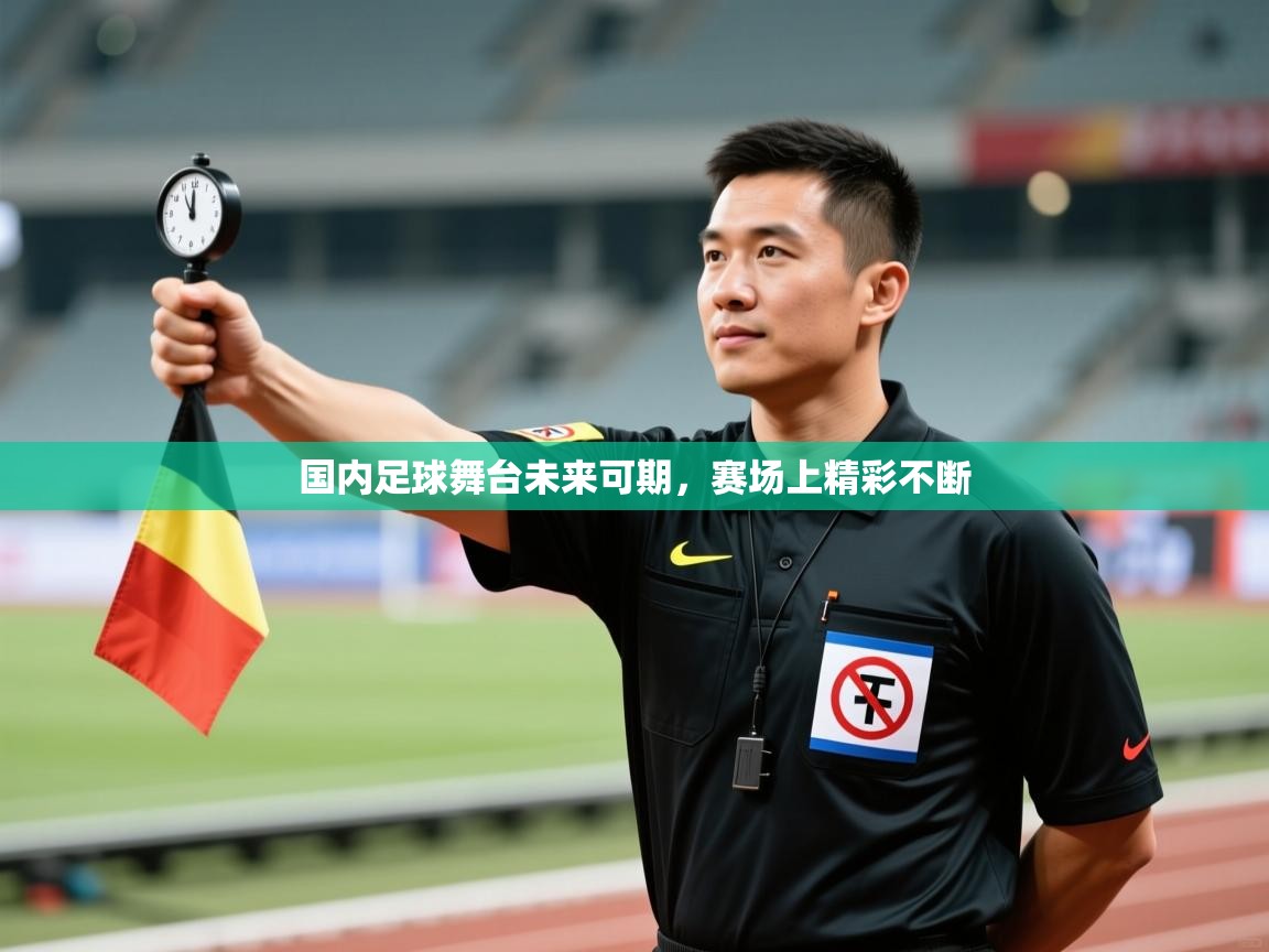 国内足球舞台未来可期,赛场上精彩不断 第1张