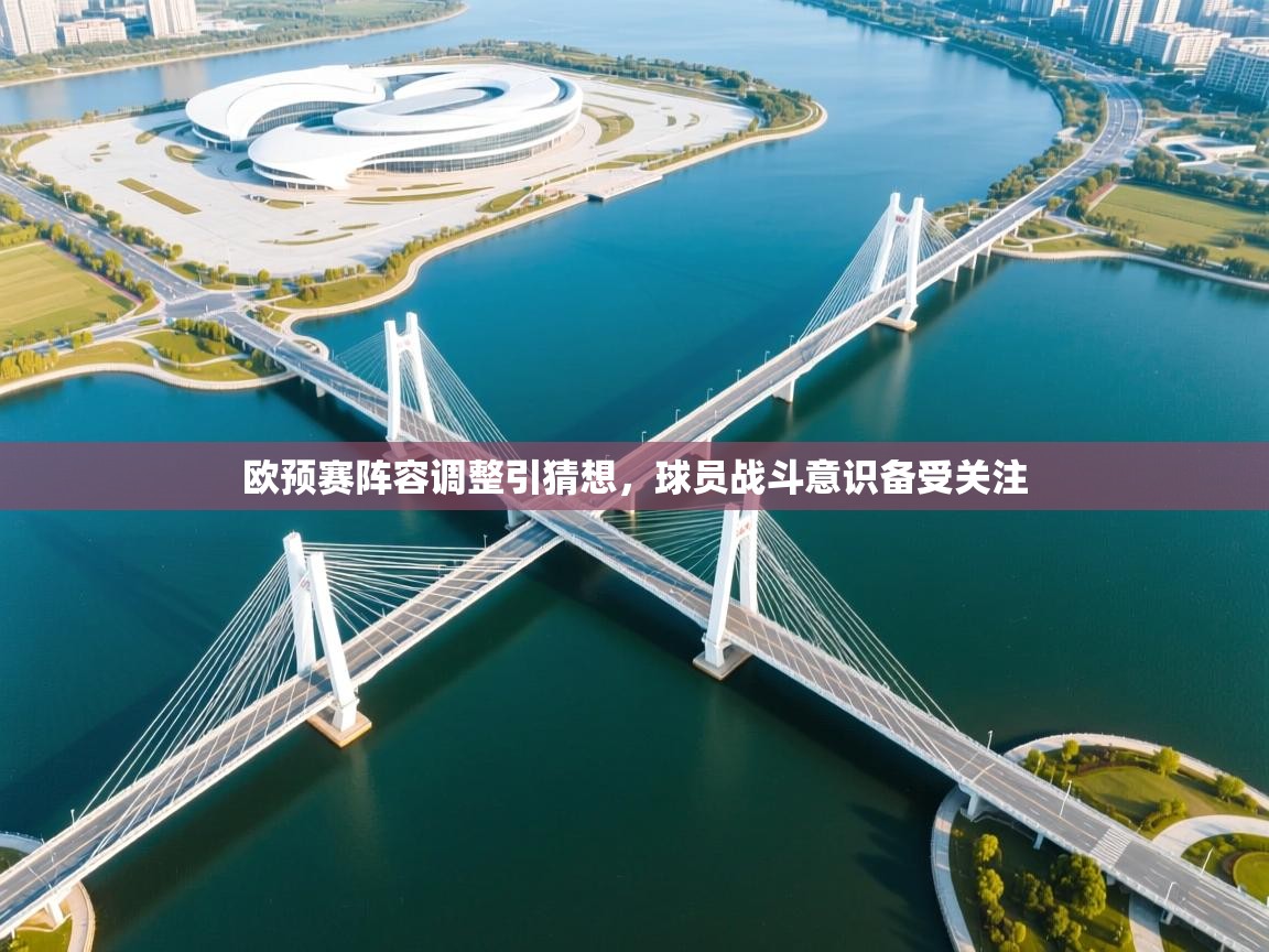 欧预赛阵容调整引猜想,球员战斗意识备受关注 第2张